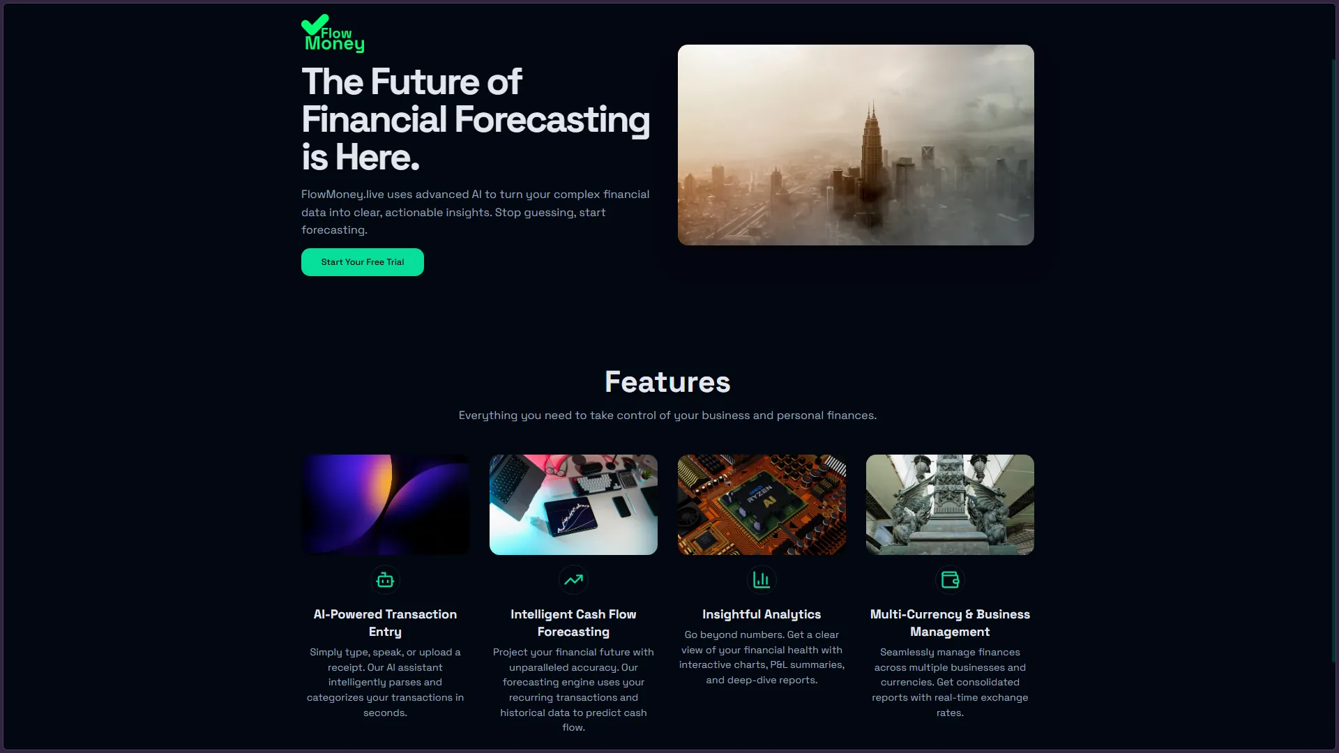 FlowMoney website preview